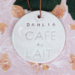 Dahlia Cafe au Lait - Keramik planteskilt